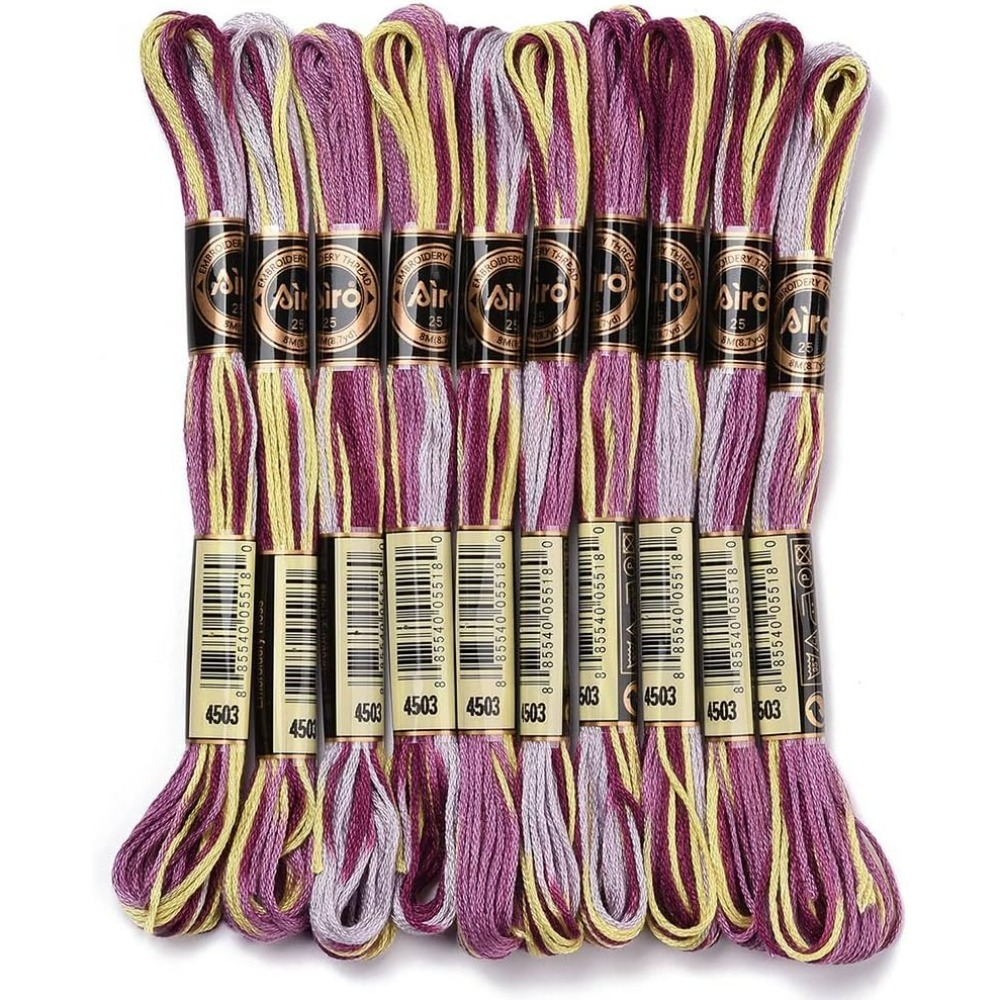 6 Strands Purple Variegated Em - Embroidery Stitch recensione e prezzo