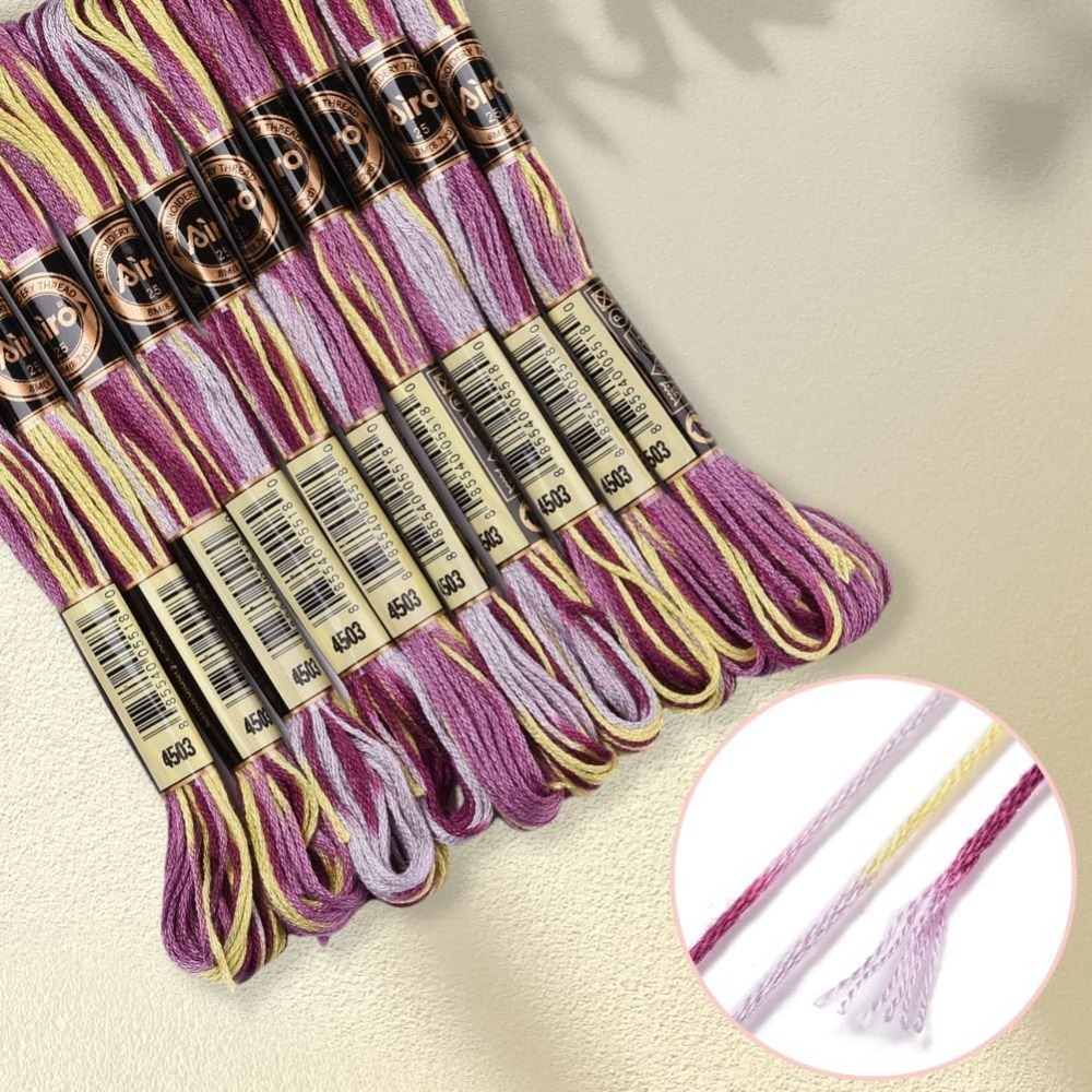 6 Strands Purple Variegated Em - Embroidery Stitch recensione e prezzo
